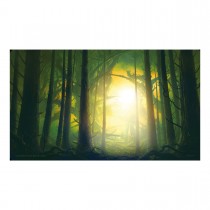 Playmat - John Avon: Lost Forest - Central 